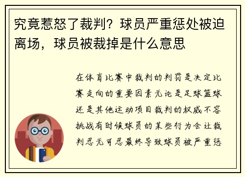 究竟惹怒了裁判？球员严重惩处被迫离场，球员被裁掉是什么意思