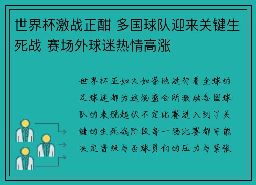 世界杯激战正酣 多国球队迎来关键生死战 赛场外球迷热情高涨